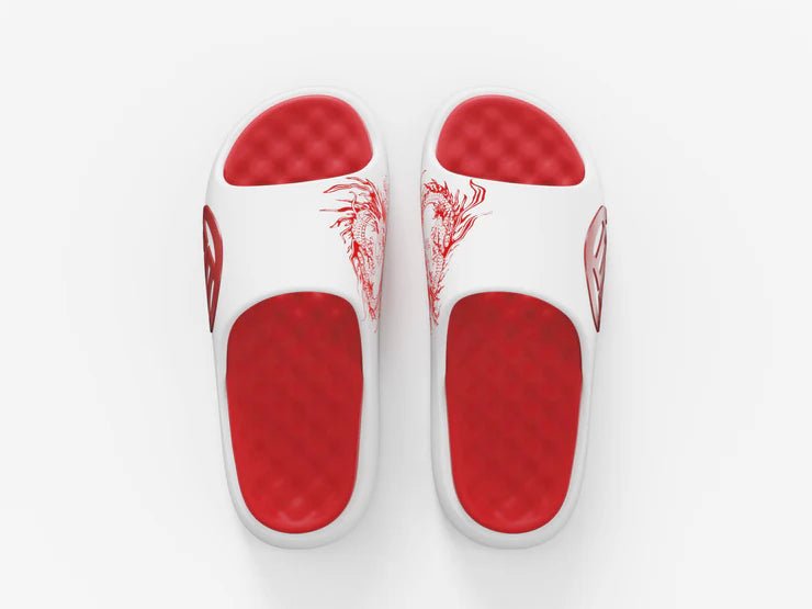 LUXIAOJUN"QI" Slides (Loong Edition)