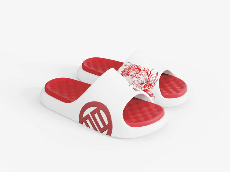 LUXIAOJUN"QI" Slides (Loong Edition)